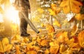 Man cleaning the sidewalk with a leaf blower