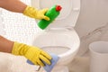 Man cleaning toilet bowl in bathroom Royalty Free Stock Photo