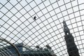 Man cleaning skylight windows, Leeds, England