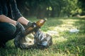 A man cleans the forest from garbage, the concept of caring for nature. Royalty Free Stock Photo