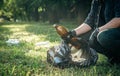A man cleans the forest from garbage, the concept of caring for nature. Royalty Free Stock Photo