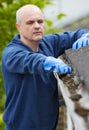 Man Clearing Leaves From Guttering Of House Royalty Free Stock Photo