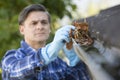 Man Clearing Leaves From Guttering Of House Royalty Free Stock Photo