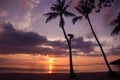 Man climbing coconut tree. Royalty Free Stock Photo