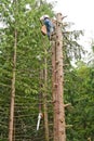 Man climbing down from topped tree Royalty Free Stock Photo