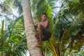 Man climbing a palm tree of Sri Lanka Royalty Free Stock Photo