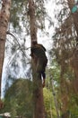 A man climbing a pine tree