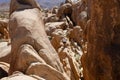A man climbs through the formation of rocks on Arch Rock Trail in Joshua Tree National Park, California, USA Royalty Free Stock Photo