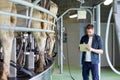 Man with clipboard and milking cows on dairy farm Royalty Free Stock Photo