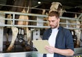 Man with clipboard and milking cows on dairy farm Royalty Free Stock Photo