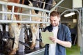 Man with clipboard and milking cows on dairy farm Royalty Free Stock Photo