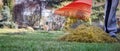 A man clogs the felt with a lawn with red plastic rags, after aeration Royalty Free Stock Photo