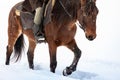 A man in clothes for riding a horse in a winter forest. Close-up of the rider& x27;s foot in stirrups Royalty Free Stock Photo