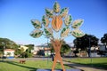 man and cocoa tree