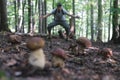 Man collect mushrooms