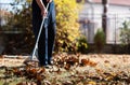 Man collecting fallen autumn leaves in the yard