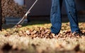 Man collecting fallen autumn leaves in the yard Royalty Free Stock Photo