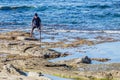 Man collecting sea urchins