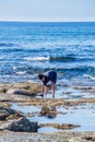 Man collecting sea urchins