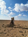 Man collecting wood in desert, Mukallah, Yemen, 2019