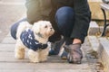 Man collects dog poop into a bag