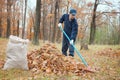 A man collects in a grove of leaves