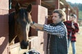 Man combing and brushing a horse at the stable on sunny day