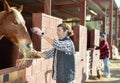 Man combing and brushing a horse at the stable on sunny day