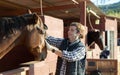 Man combing and brushing a horse at the stable on sunny day