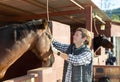 Man combing and brushing a horse at the stable on sunny day