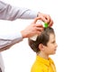 A man is combing out nits from boy's head Royalty Free Stock Photo