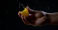 Man is compressing orange slice by fingers, close-up of palm in dark room, juice is squirting in air