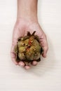 Man with a cooked artichoke in his hand