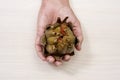 Man with a cooked artichoke in his hand