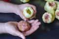 Man is cooking bell peppers stuffed with meat