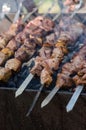 Man cooking marinated shashlik or shish kebab, chiken meat grilling on metal skewer, close up. Selective focus Royalty Free Stock Photo