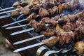 Man cooking marinated shashlik or shish kebab, chiken meat grilling on metal skewer, close up. Selective focus Royalty Free Stock Photo