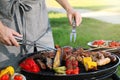 Man cooking meat and vegetables on barbecue grill in park, closeup Royalty Free Stock Photo
