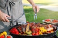 Man cooking meat and vegetables on barbecue grill in park, closeup Royalty Free Stock Photo