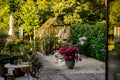 Man cooks at beautiful garden Royalty Free Stock Photo