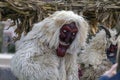 Man in a costume at the Busojaras Buso-walking an annual masquerade celebration of the Sokci ethnic group living in the town of