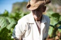 Man working at Tobacco Farm