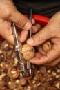 Man cracking walnuts with metal nutcracker in the hand Royalty Free Stock Photo