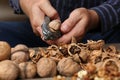 Man cracking walnuts at table, closeup view Royalty Free Stock Photo