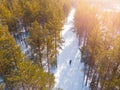 Man cross country skiing on track winter forest tree. Aerial top view Royalty Free Stock Photo