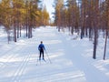 Man cross country skiing on track winter forest tree. Aerial top view Royalty Free Stock Photo