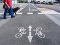 Man crossing street with dog Disability pedestrian ground with Bike lane urban Traffic signage Royalty Free Stock Photo