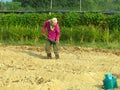 A man cultivating in farm.