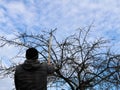 A man cuts the branches of a tree with a long pruner Royalty Free Stock Photo