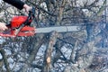 A man cuts a chainsaw trunk and branches of a tree. Royalty Free Stock Photo